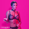 Euphoria Collection Chain Halter/collar and Leash